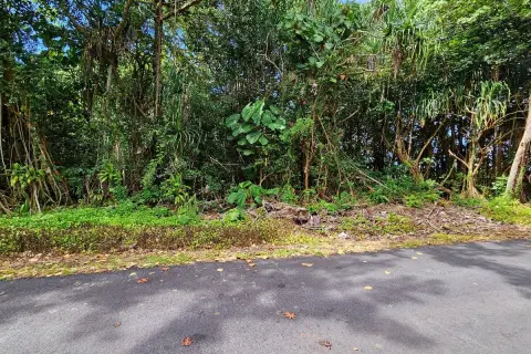 Pahoa Land Collection For Sale