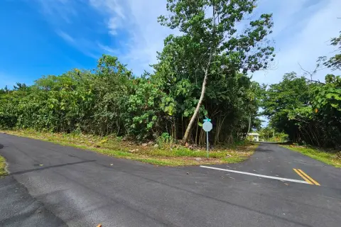 Pahoa Land Collection Opportunity