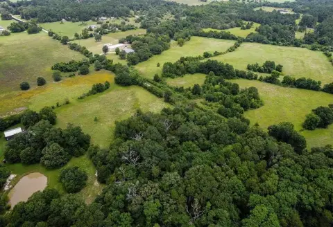 50 Acres of Land in Canton