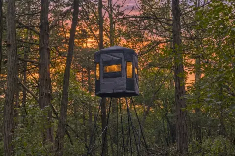 Managed Whitetail Hunting Land