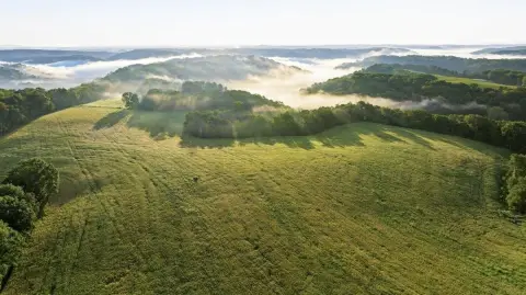 Tillable Farmland with Woodlands