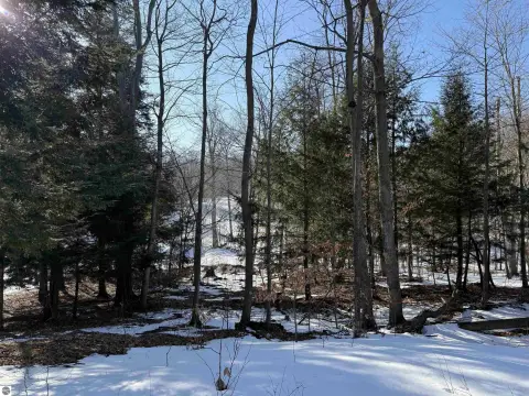 Residential Lot in Frankfort, MI