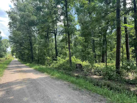 Hunting and Timber Land