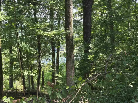 Lake View Waterfront Land