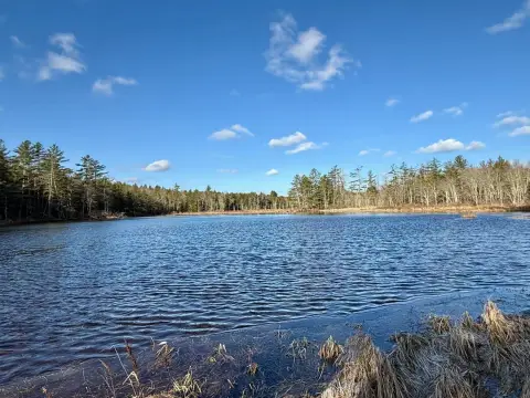 Land with Lake Frontage
