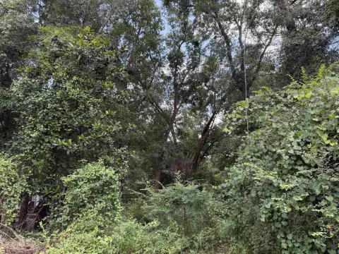 Waterfront Recreational Land Lot
