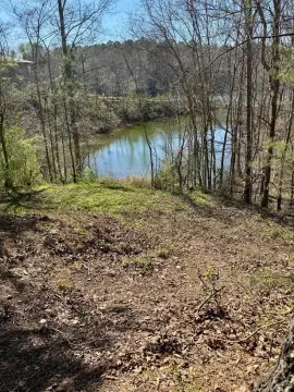 Cullman Land Near Smith Lake