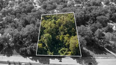 Development Opportunity Land in Bartlett