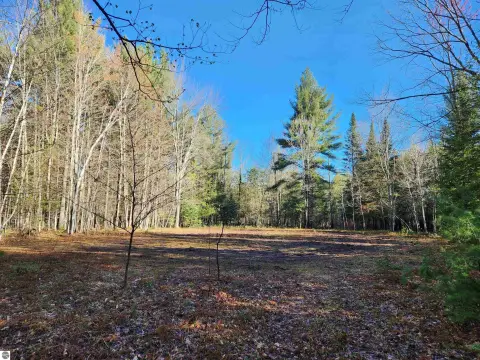21.56 Acre Nature Lover's Paradise