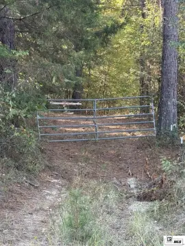 Hunting Land with Marketable Timber