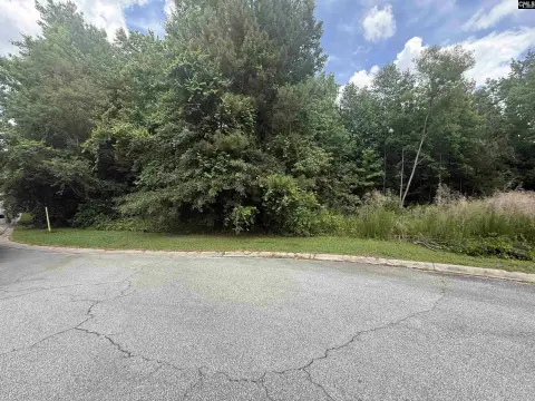 Blythewood Acreage For Sale