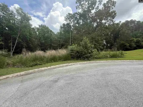 Residential Lot in Blythewood, SC