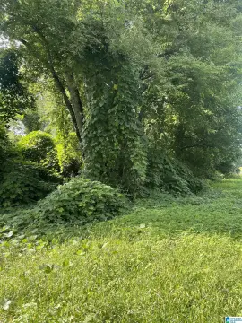 Corner Lot Near Interstate