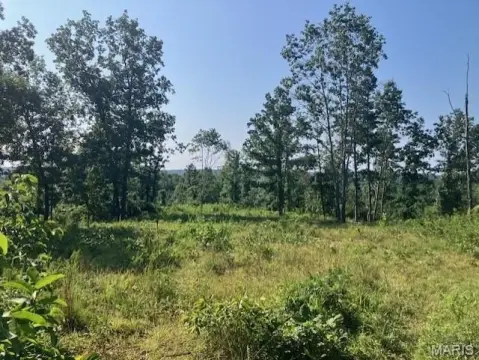 Wooded Recreational Land with Gravel Access