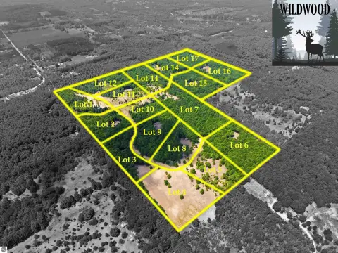 Wooded Land Parcel Near Fife Lake