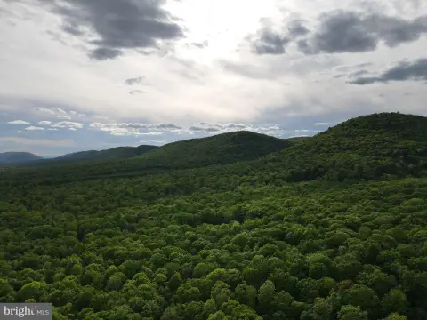 Expansive Land Parcel For Sale
