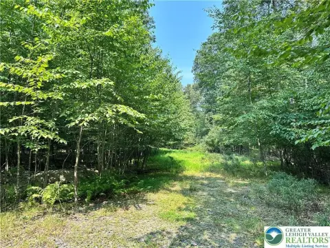 Serene Timber Hill Land Parcel