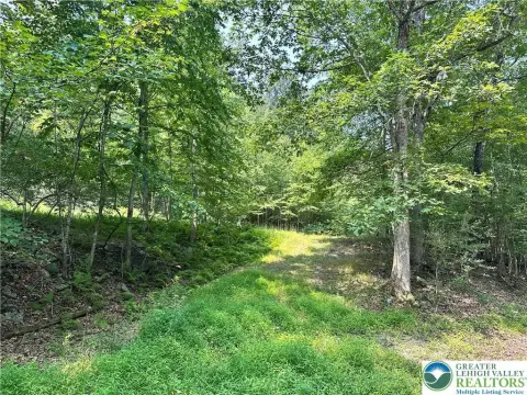 Serene Timber Hill Land