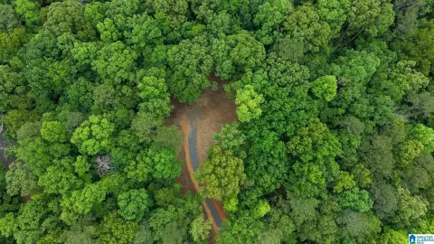 Pell City Acreage for Sale