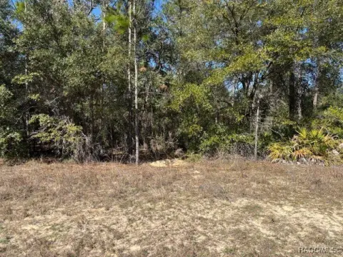 Citrus Springs Land For Sale