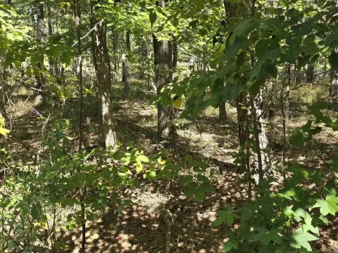 Residential Lot in Golf Community