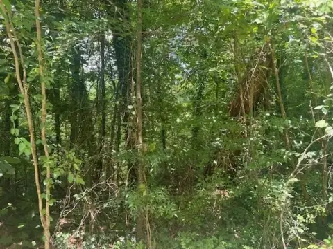 Residential Lot in Jasper, AL