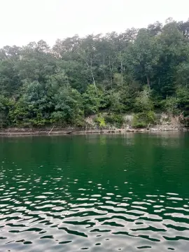 Land with Brushy Creek Views