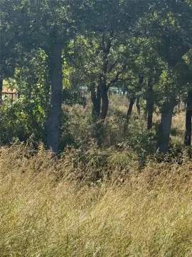 Lake Bridgeport Land with Amenities