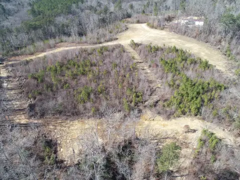 Haleyville Land for Hunting/Recreation