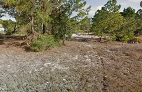 Lehigh Acres Vacant Land