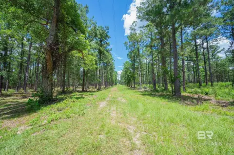 Single-Family Land Parcel