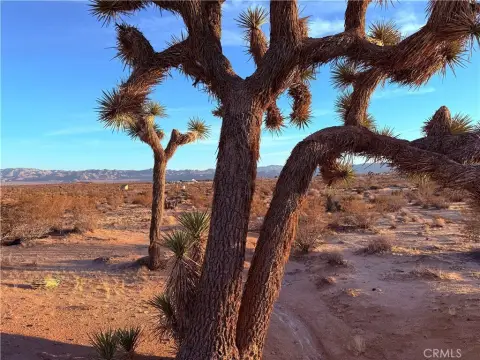 Joshua Tree Land with Views
