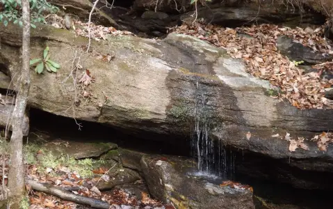 Secluded Lot Near Kingwood Resort