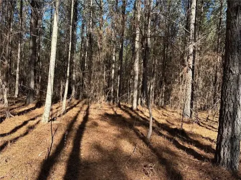 Agricultural Land with Homesite Options