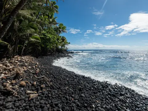 Pahoa Land with Shoreline