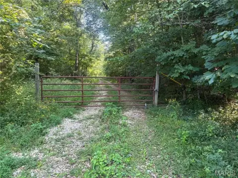 Wooded Hunting Land with Creek
