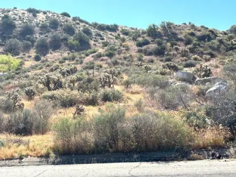 Yucca Valley Land Opportunity