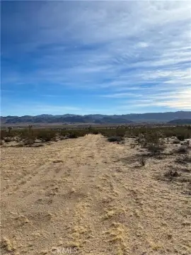 Joshua Tree Buildable Land Parcel