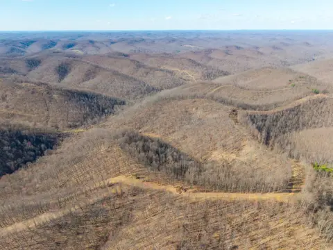 Lewis County Hunting and Recreation