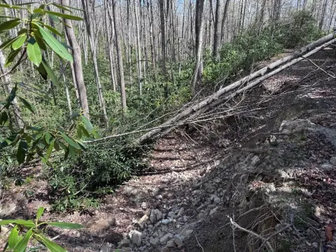 Beech Mountain Vacant Land