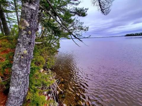 Waterfront Land on Graham Lake