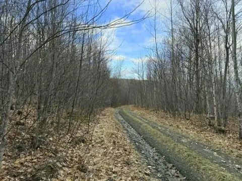 Maine Recreational Land For Sale