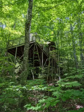 Land with A-Frame Structures