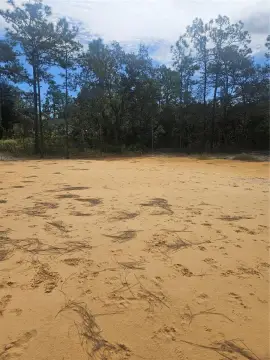 Ready-to-Build Lot in Webster, FL