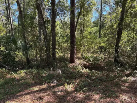 Residential Lot in Inverness, FL