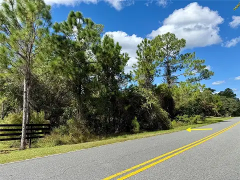 EUSTIS, FL Acreage