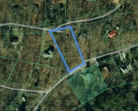 Wooded Vacant Land Parcel