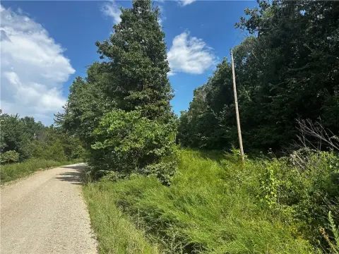 Partially Wooded Recreational Land
