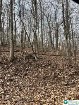 Wooded Hunting Land Lot