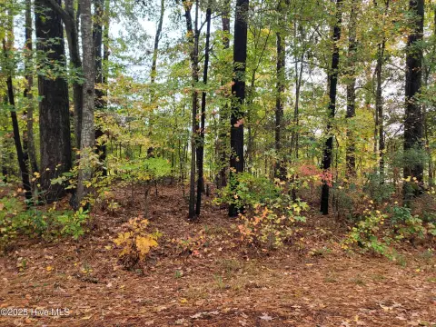 Wooded Lot Near Pasquotank River